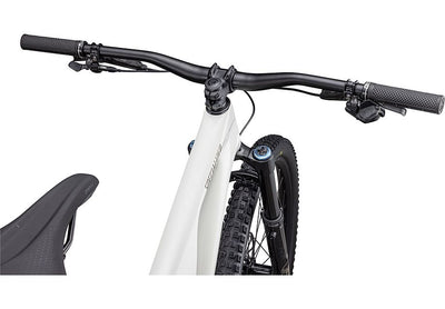 Stumpjumper EVO Expert  - SRAM GX Eagle AXS, FOX Performance Elite