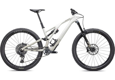 Stumpjumper EVO Expert  - SRAM GX Eagle AXS, FOX Performance Elite