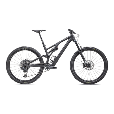 Stumpjumper EVO Expert  - SRAM GX Eagle AXS, FOX Performance Elite