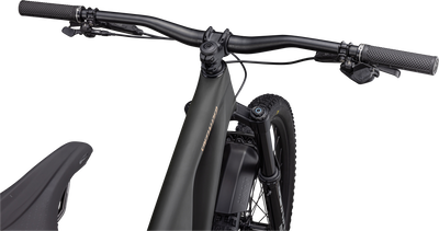 Stumpjumper EVO LTD  - SRAM GX Eagle AXS, RockShox Ultimate
