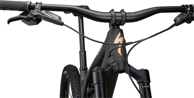 Stumpjumper EVO LTD  - SRAM GX Eagle AXS, RockShox Ultimate