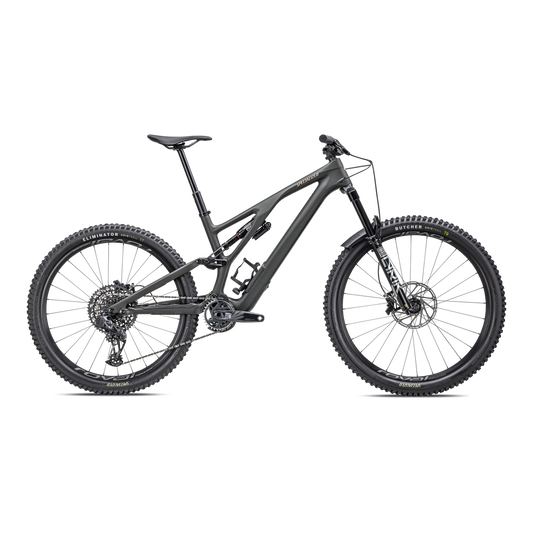 Stumpjumper EVO LTD