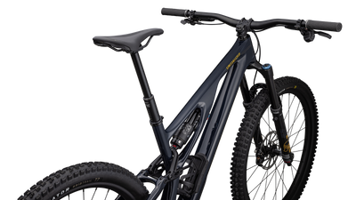 Stumpjumper EVO Expert  - SRAM GX AXS, FOX Performance Elite