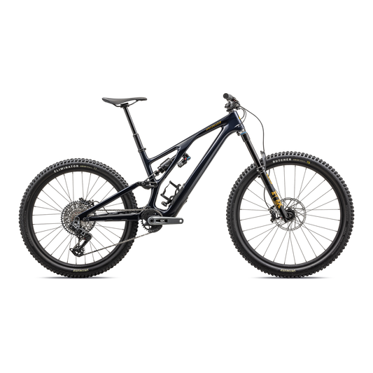 Stumpjumper EVO Expert T-Type