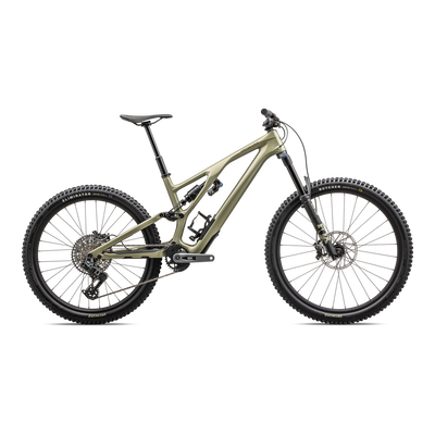 Stumpjumper EVO Expert  - SRAM GX AXS, FOX Performance Elite
