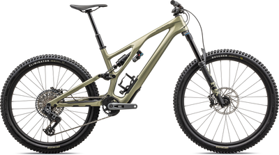 Stumpjumper EVO Expert  - SRAM GX AXS, FOX Performance Elite