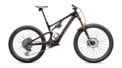 S-Works Turbo Levo SL 2