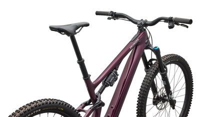 Turbo Levo SL 2 Expert