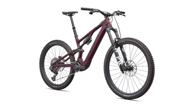 Turbo Levo SL 2 Expert