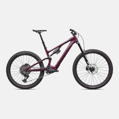 Turbo Levo SL 2 Expert