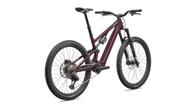Turbo Levo SL 2 Expert