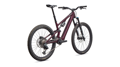 Turbo Levo SL 2 Expert