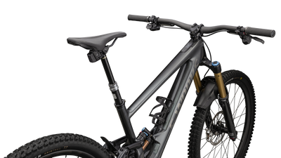 S-Works Turbo Kenevo SL 2