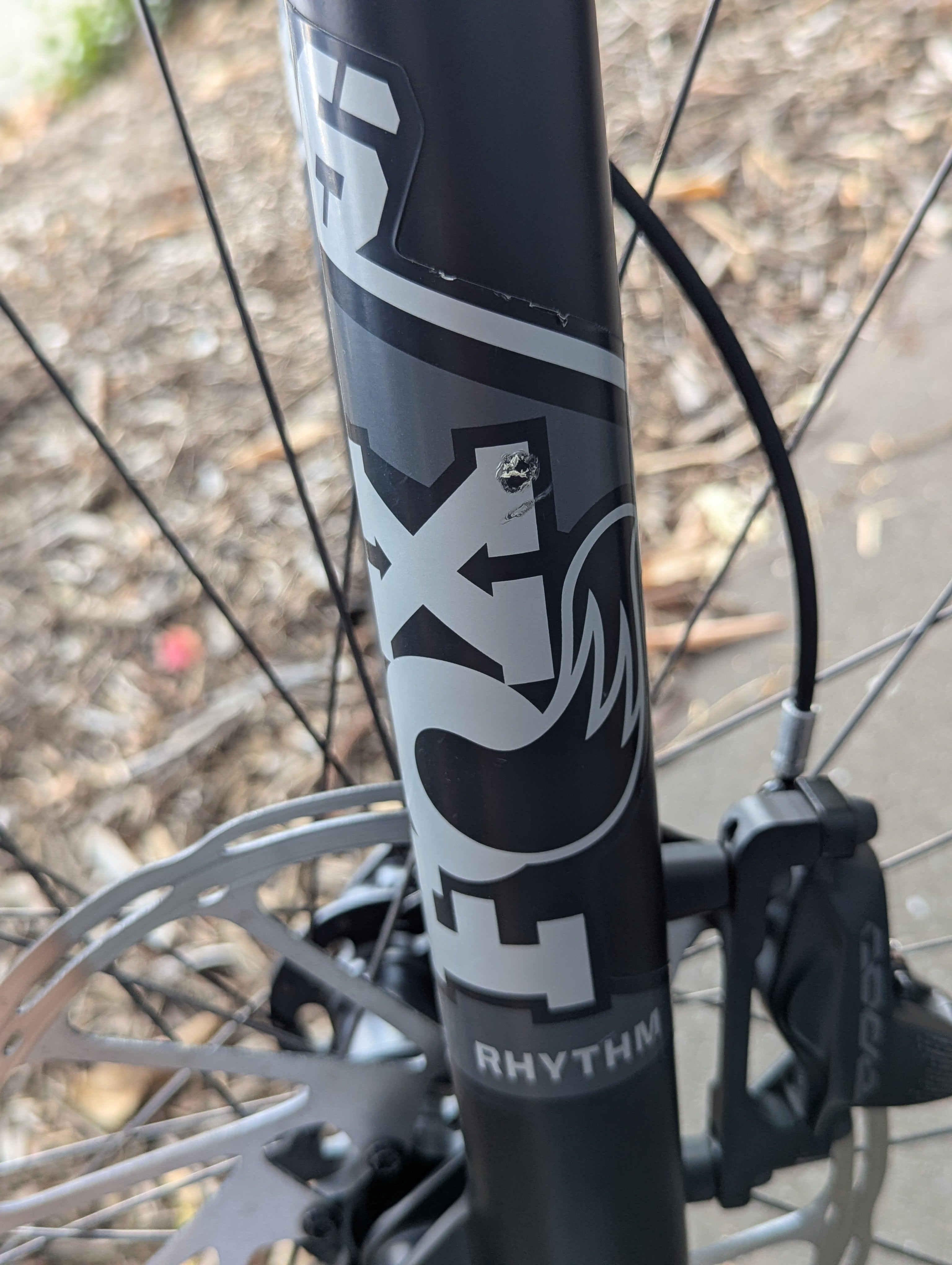 Ex-Demo Levo Comp Carbon S5